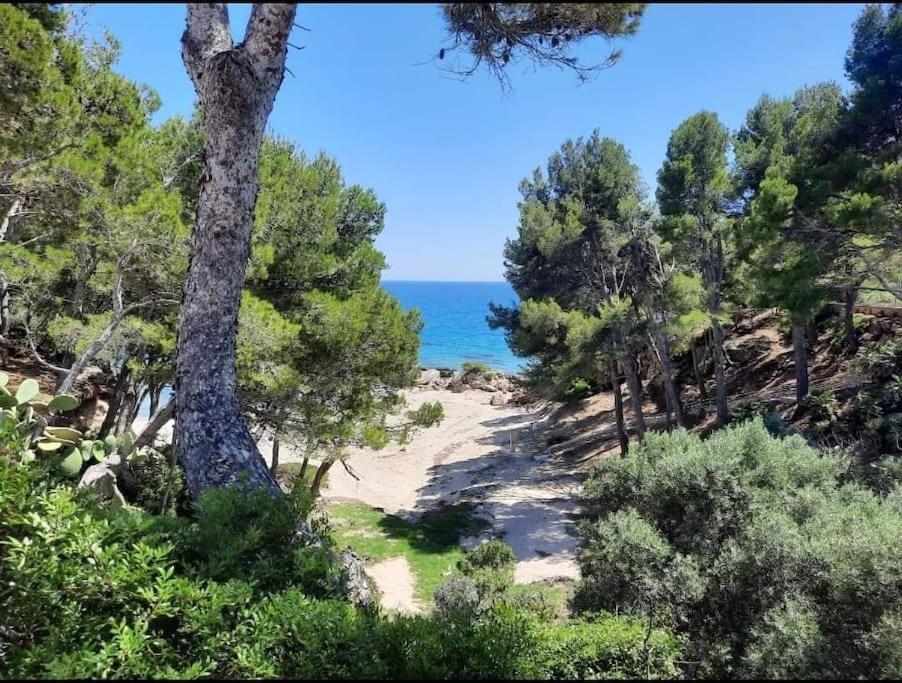 Villa Climatisee Bord De Mer Avec Piscine Privee ميامي بلاتجا المظهر الخارجي الصورة